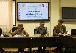 Panel I Panorama2