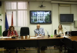 IMG 4352