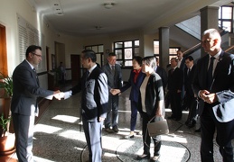 IMG 4961