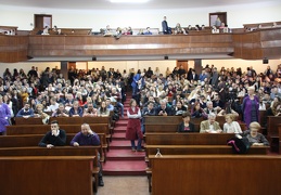 IMG 7431