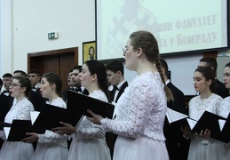 IMG 7446